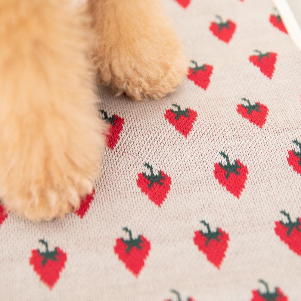 Strawberry cafe mat [Compatible with name embroidery]