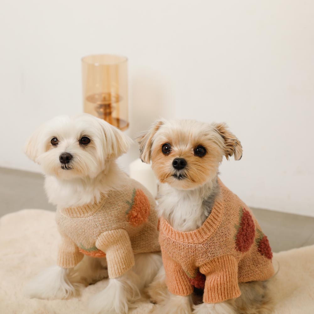 strawberry pattern knit cardigan