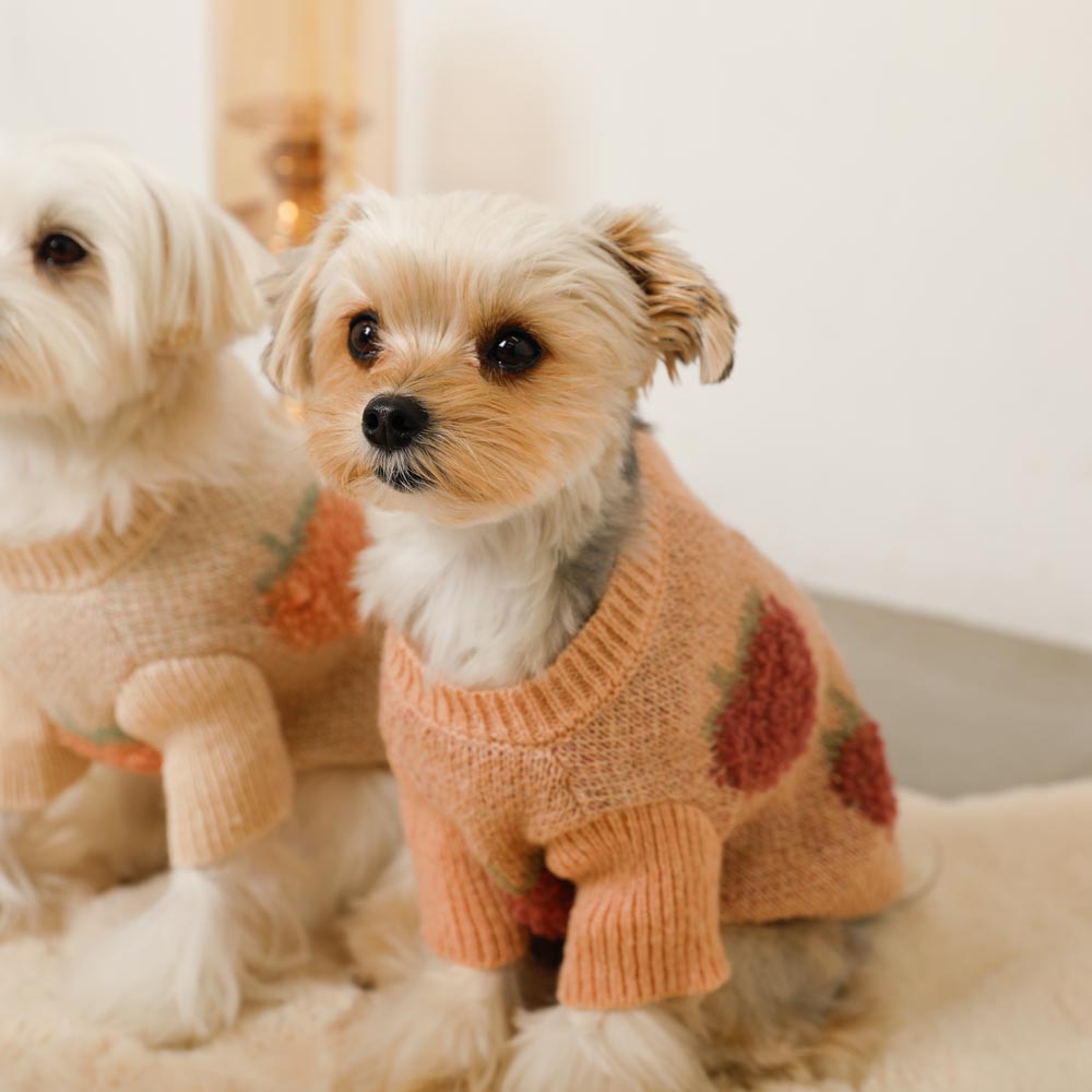 strawberry pattern knit cardigan