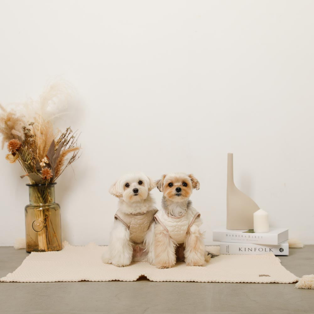 Reversible boa bear quilted jacket