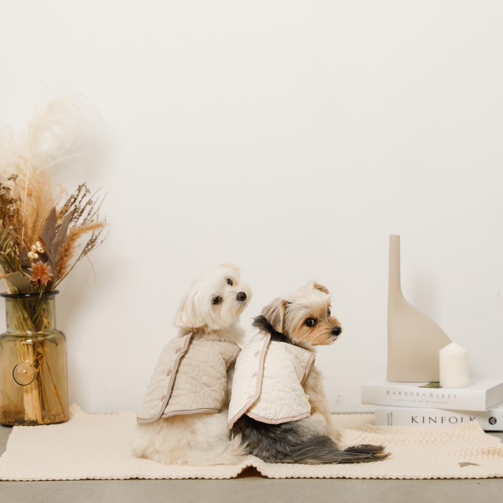 Reversible boa bear quilted jacket