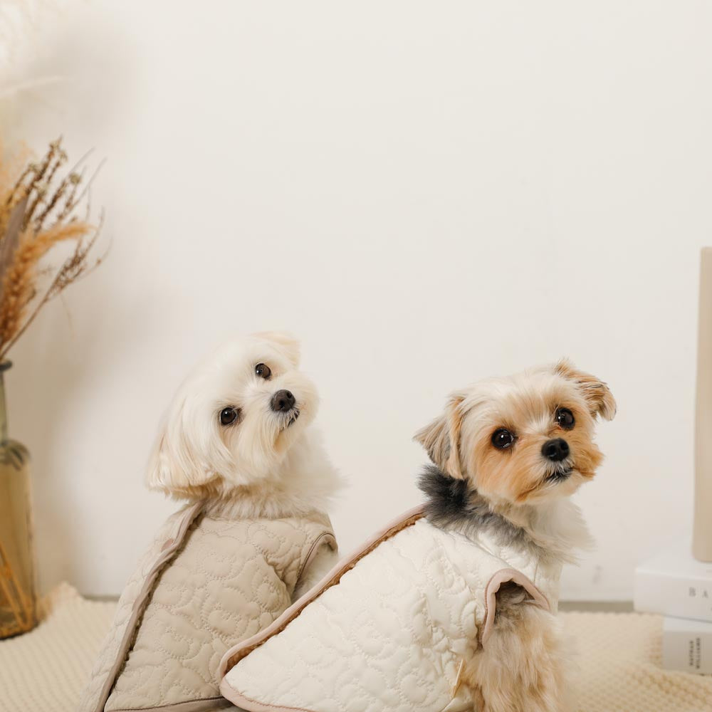 Reversible boa bear quilted jacket