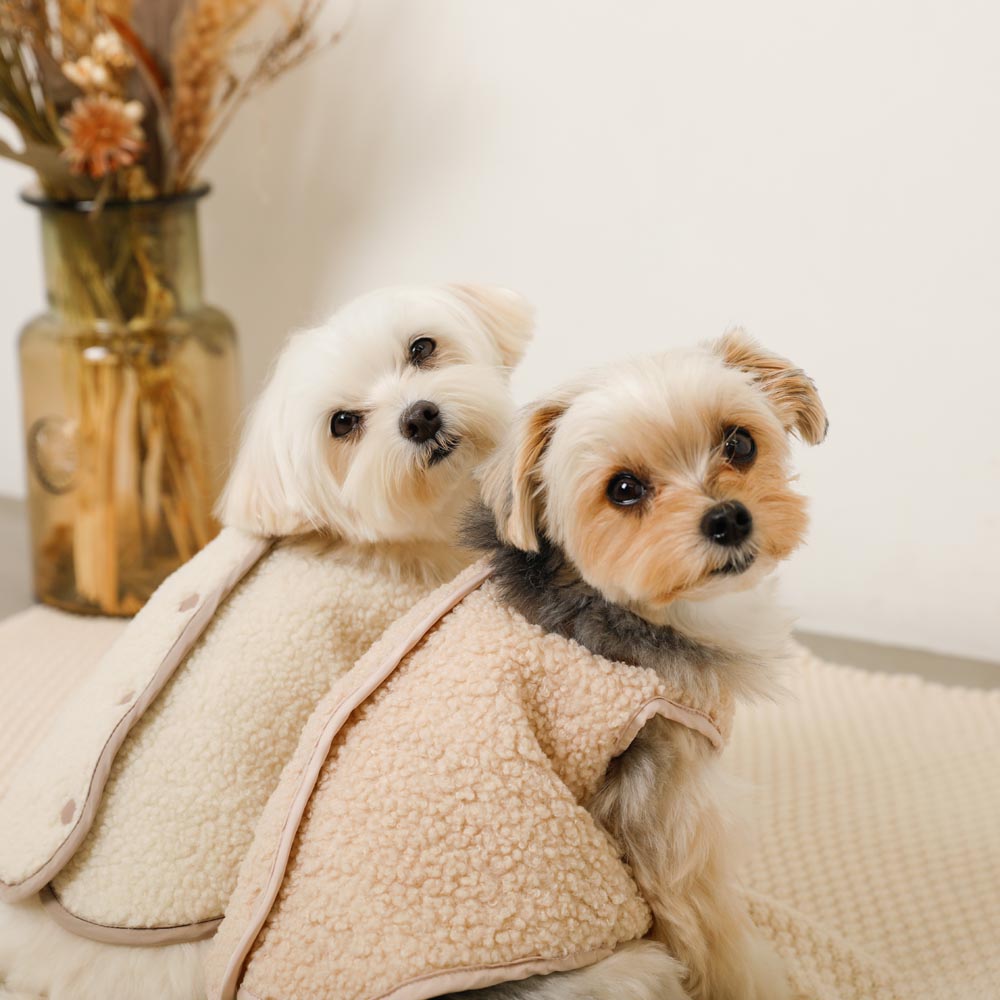 Reversible boa bear quilted jacket