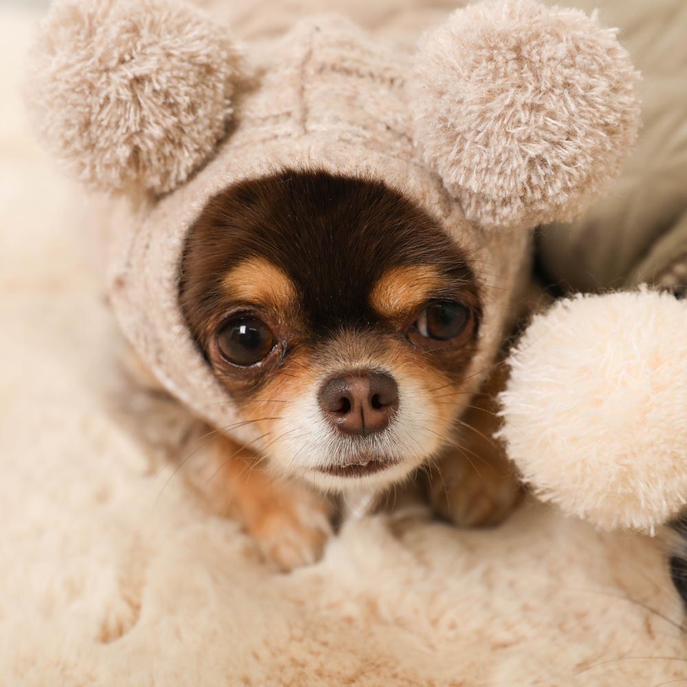 Darich♥クマ耳ニット帽♥ Amazon.co.jp: くま耳 熊耳 ニット帽 レディース 耳付き ニット
