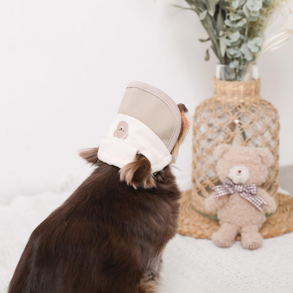 Bear embroidery bicolor sun visor cap