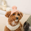 Cashmere Mixed Pom Pon Dog Knit Hat