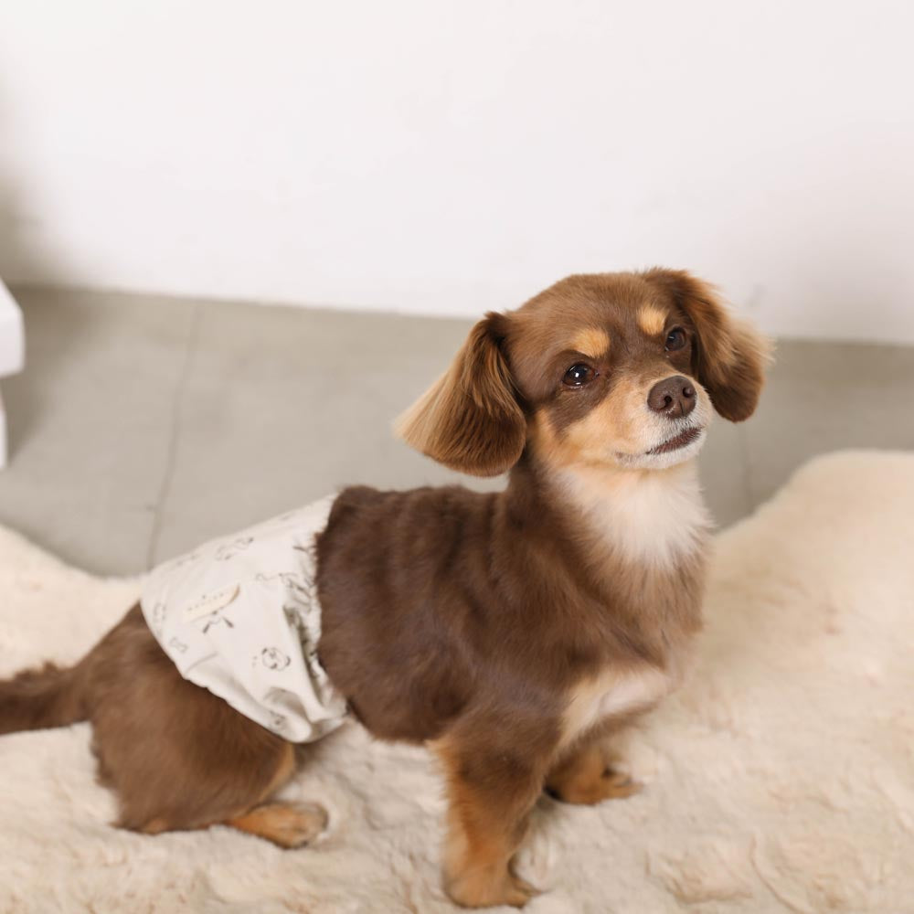 Dog pattern manners belt