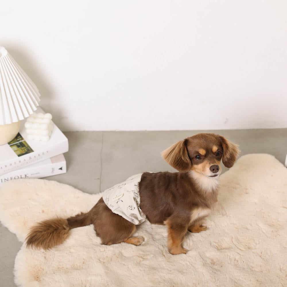 Dog pattern manners belt