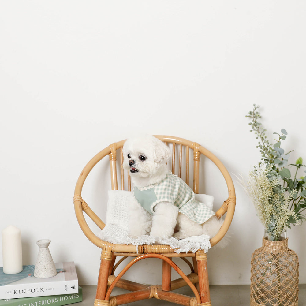 Cool gingham check ruffle dress