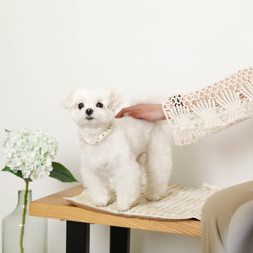 SUO/クールリング/犬用/小型犬/Sサイズ/