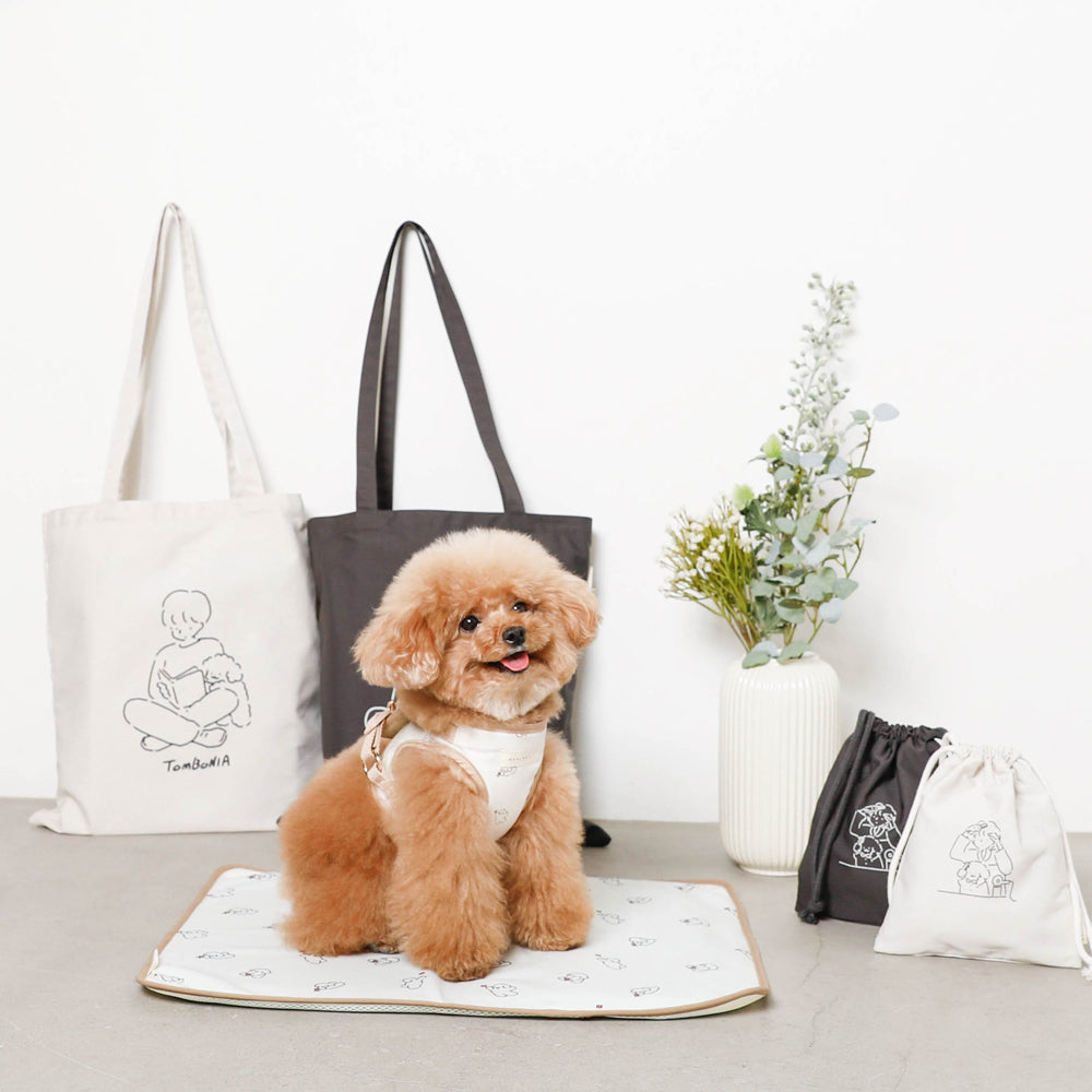 tombonia collaboration tote bag