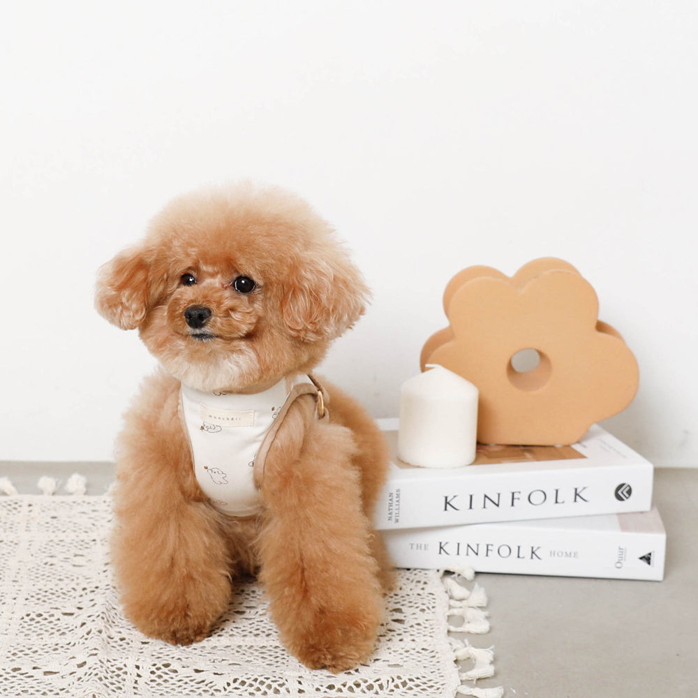 tombonia collaboration harness + lead SET [Name embroidery available]