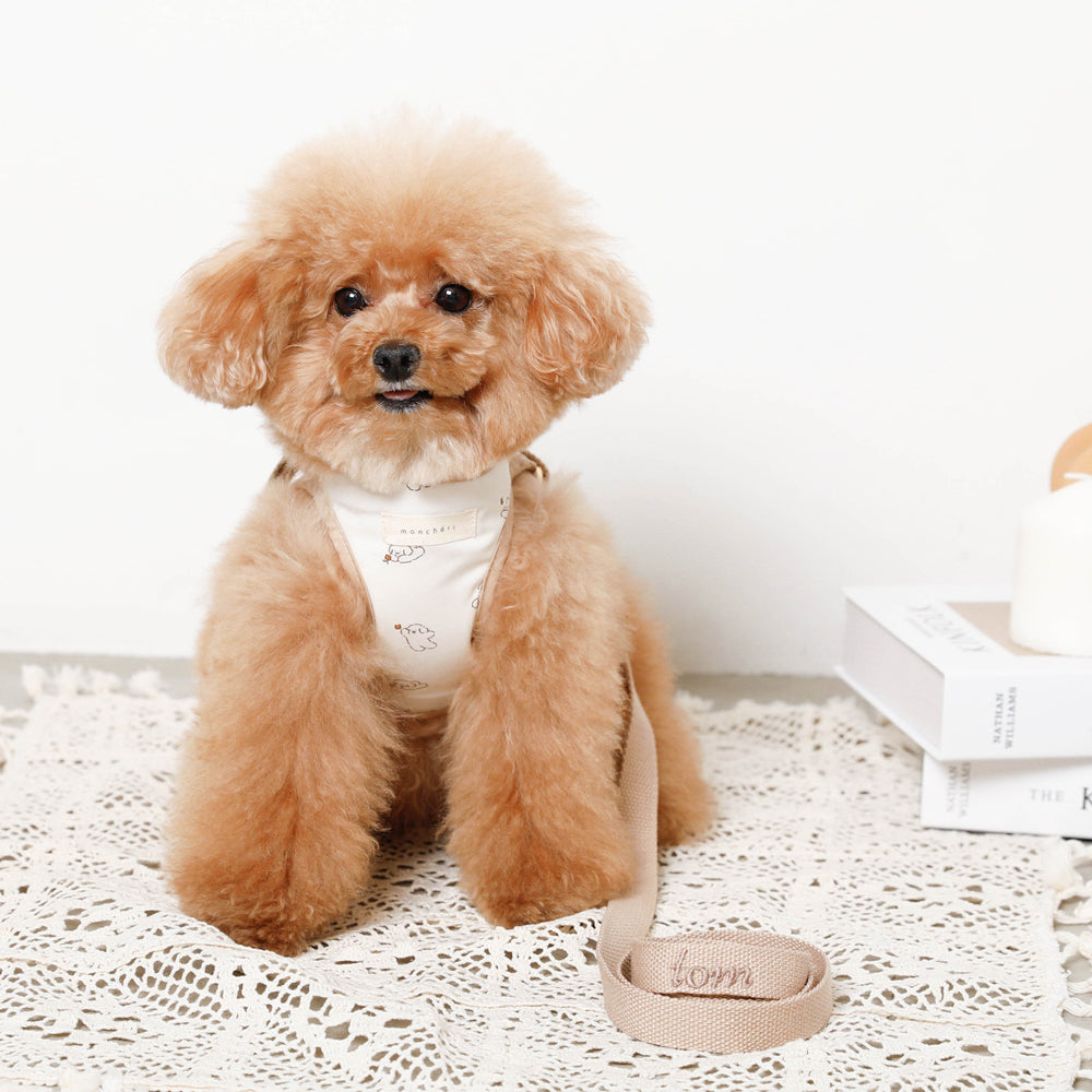 tombonia collaboration harness + lead SET [Name embroidery available]