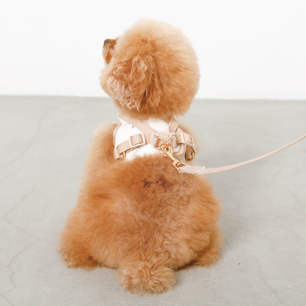 tombonia collaboration harness + lead SET [Name embroidery available]