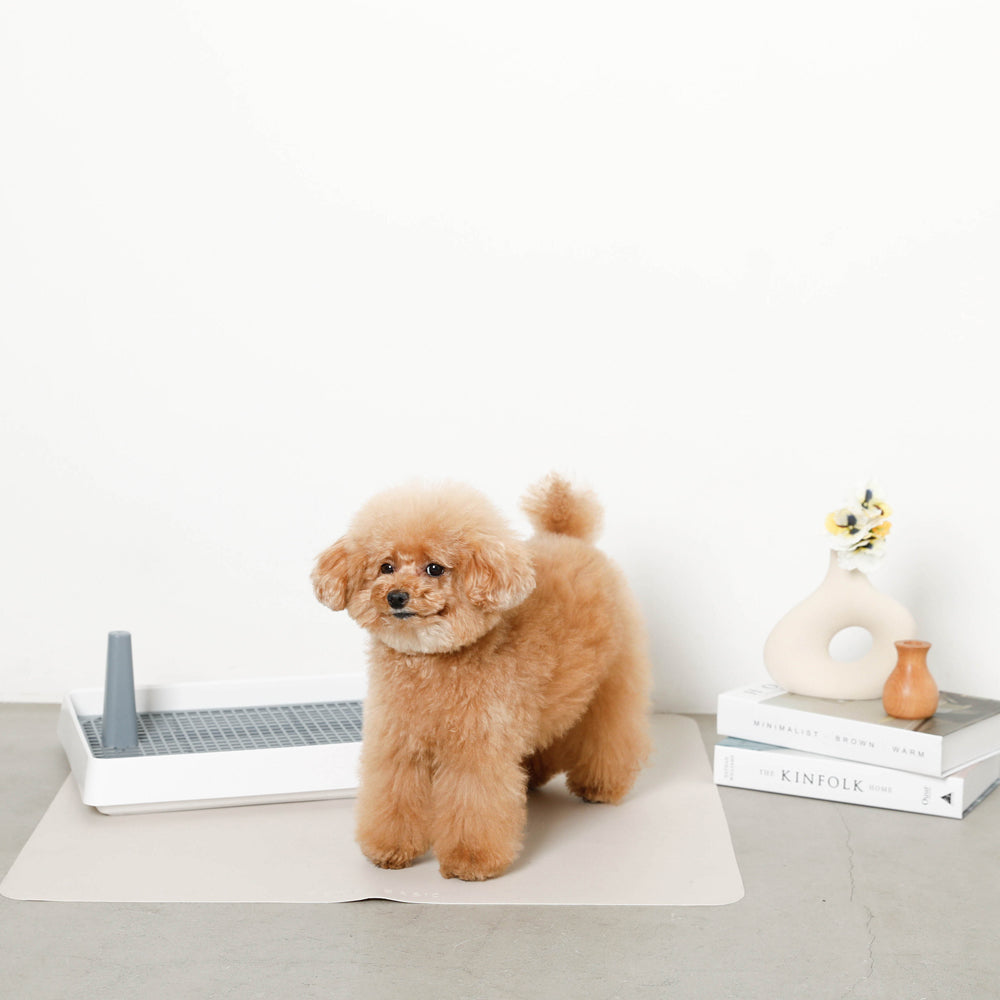 Simple eco pet toilet