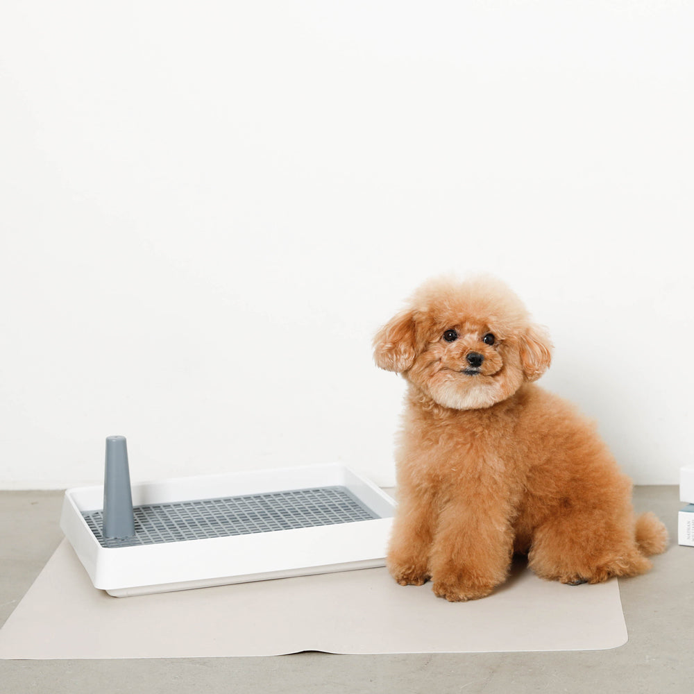 Simple eco pet toilet