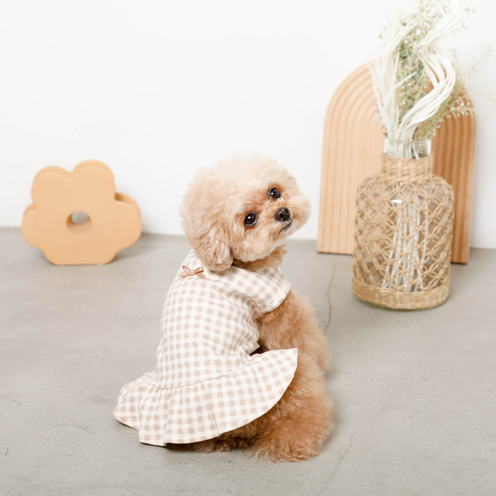 Cool gingham check ruffle dress