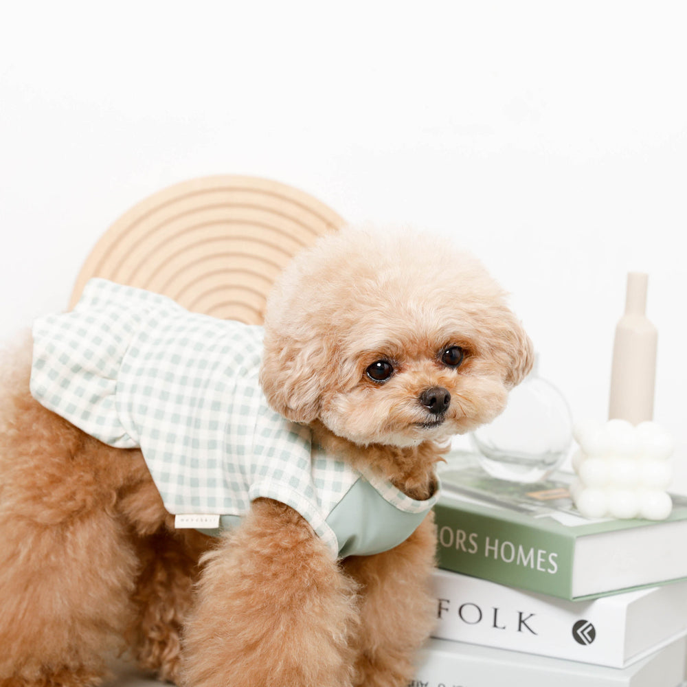 Cool gingham check ruffle dress