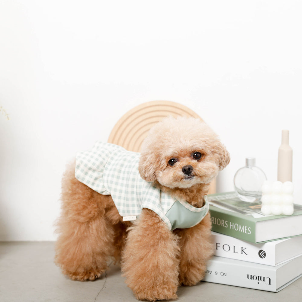 Cool gingham check ruffle dress