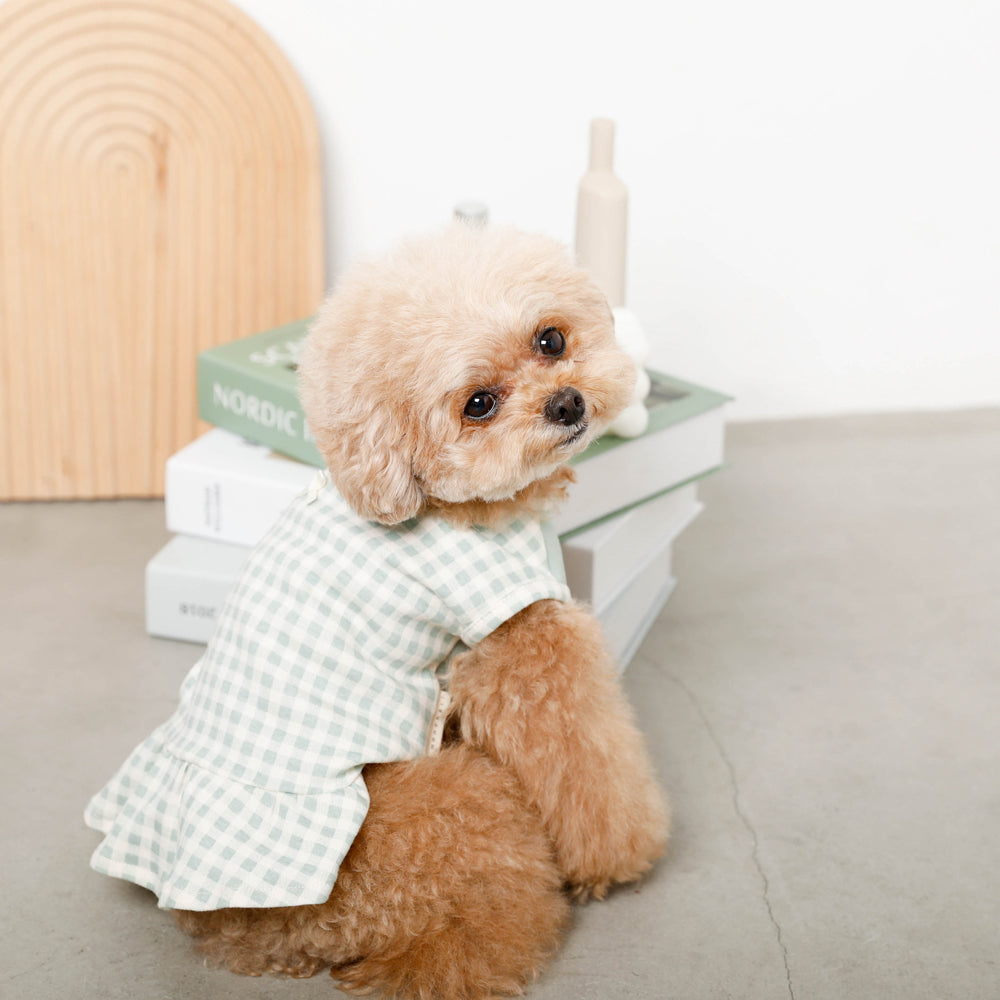 Cool gingham check ruffle dress