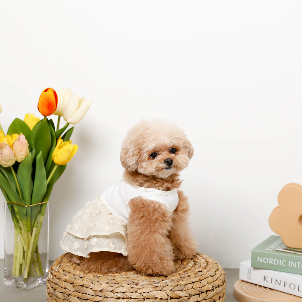 Cool docking pompon tiered dress