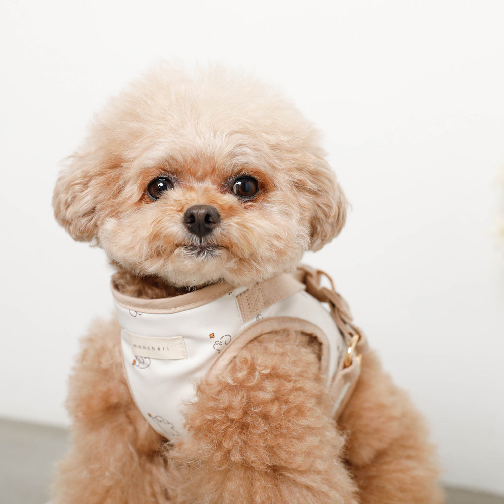tombonia collaboration harness + lead SET [Name embroidery available]