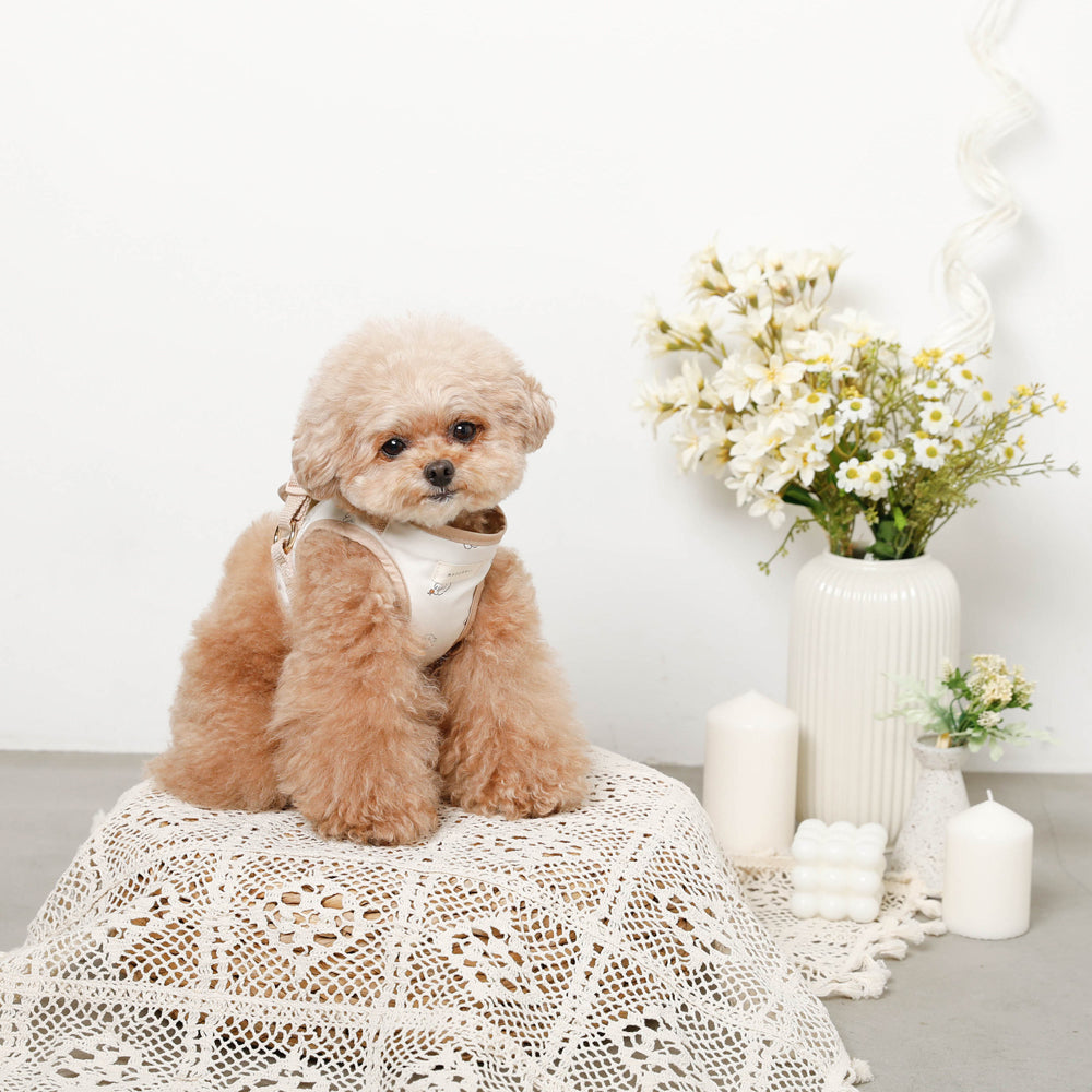 tombonia collaboration harness + lead SET [Name embroidery available]