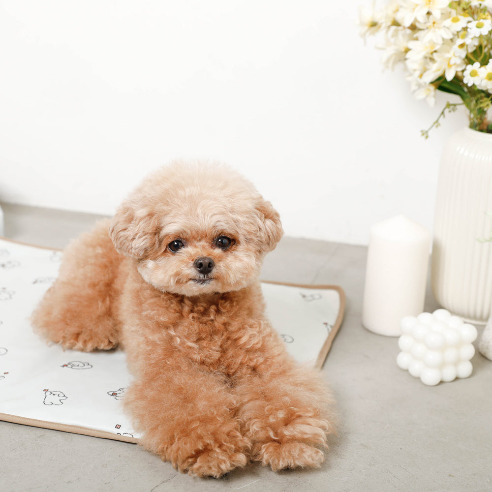 tombonia collaboration cool gel mat