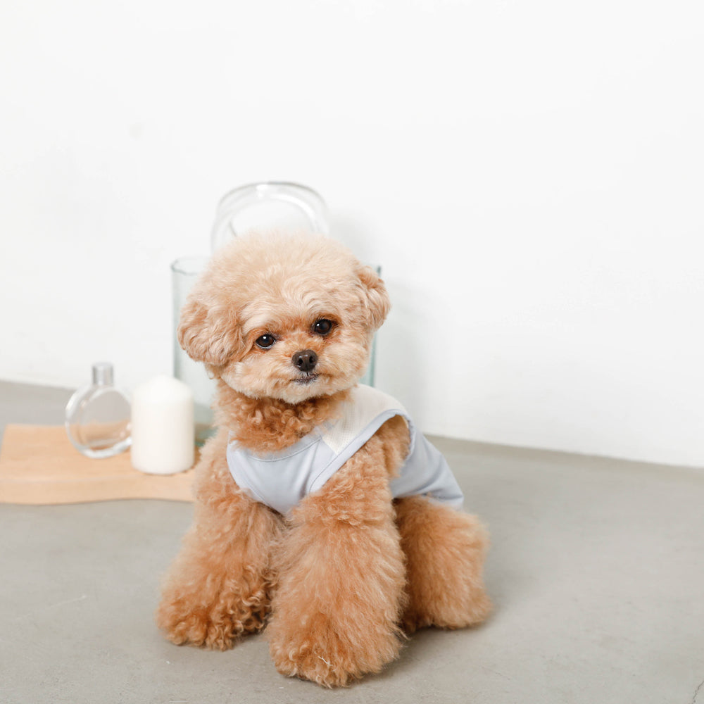 Cool bicolor mesh bear sleeveless tops [old model]