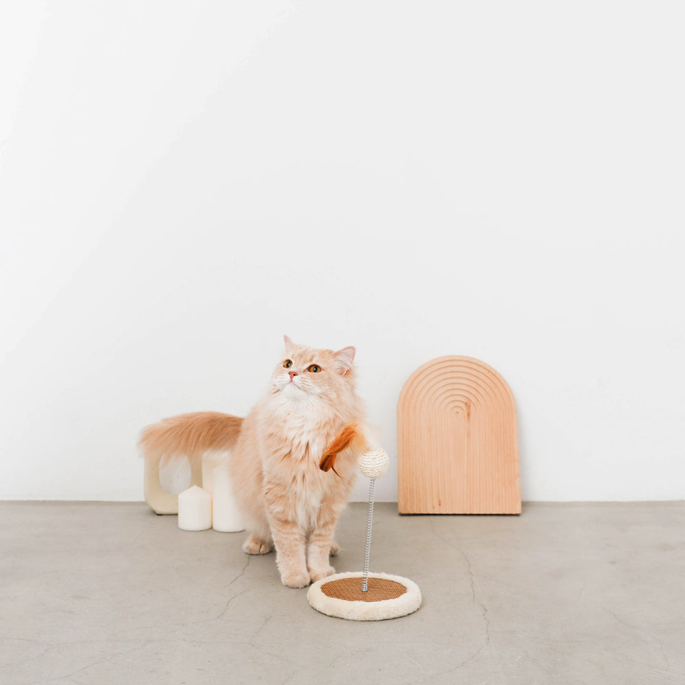 キャットパンチングおもちゃ