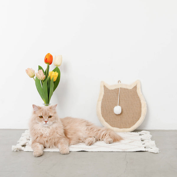 Cat -type wall -mounted claw mats