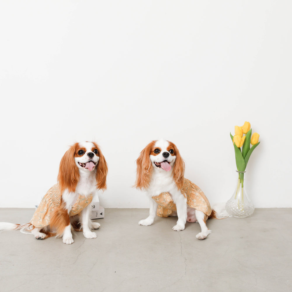 冷感フラワーシャーリングワンピース