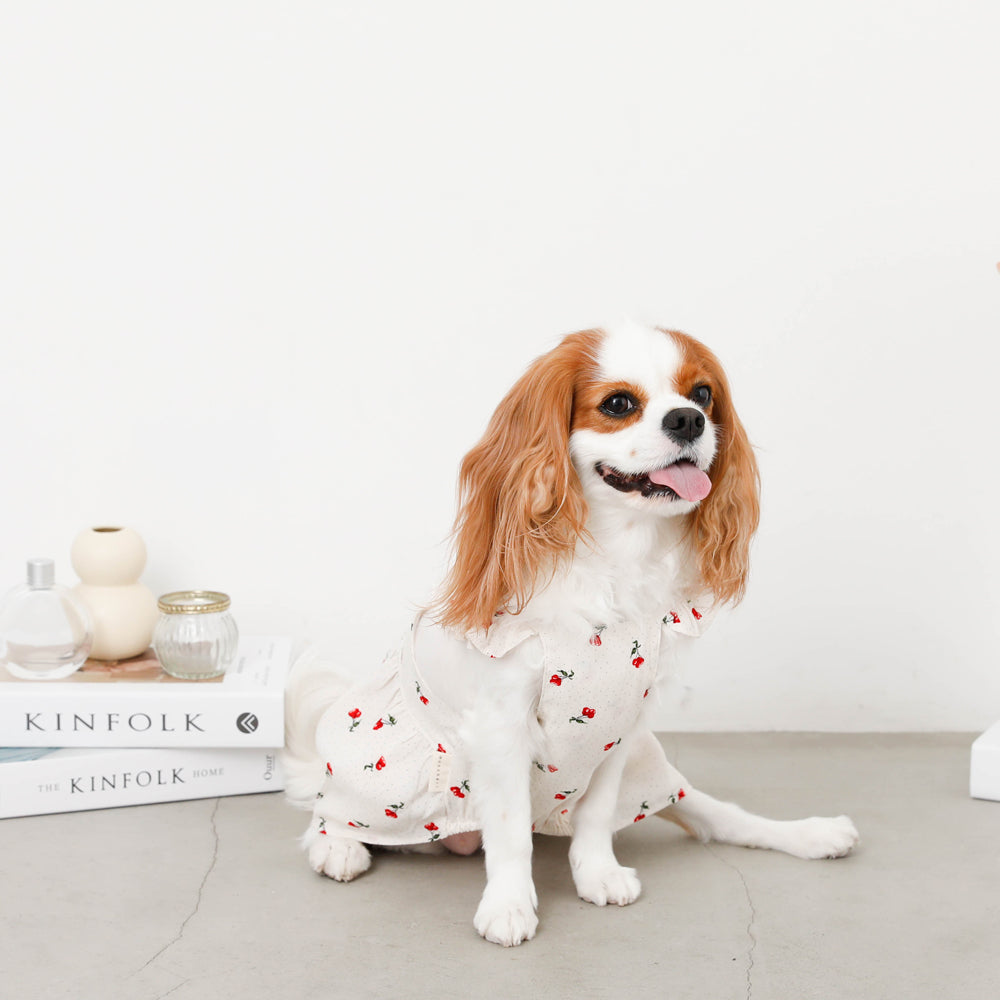 Cool cherry dot frill dress