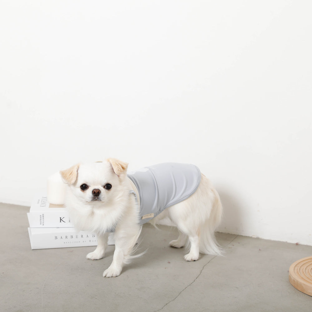 Cool bicolor mesh bear sleeveless tops [old model]