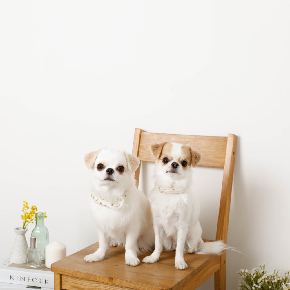 エコひんやりくまさん柄ネックリング Sサイズ