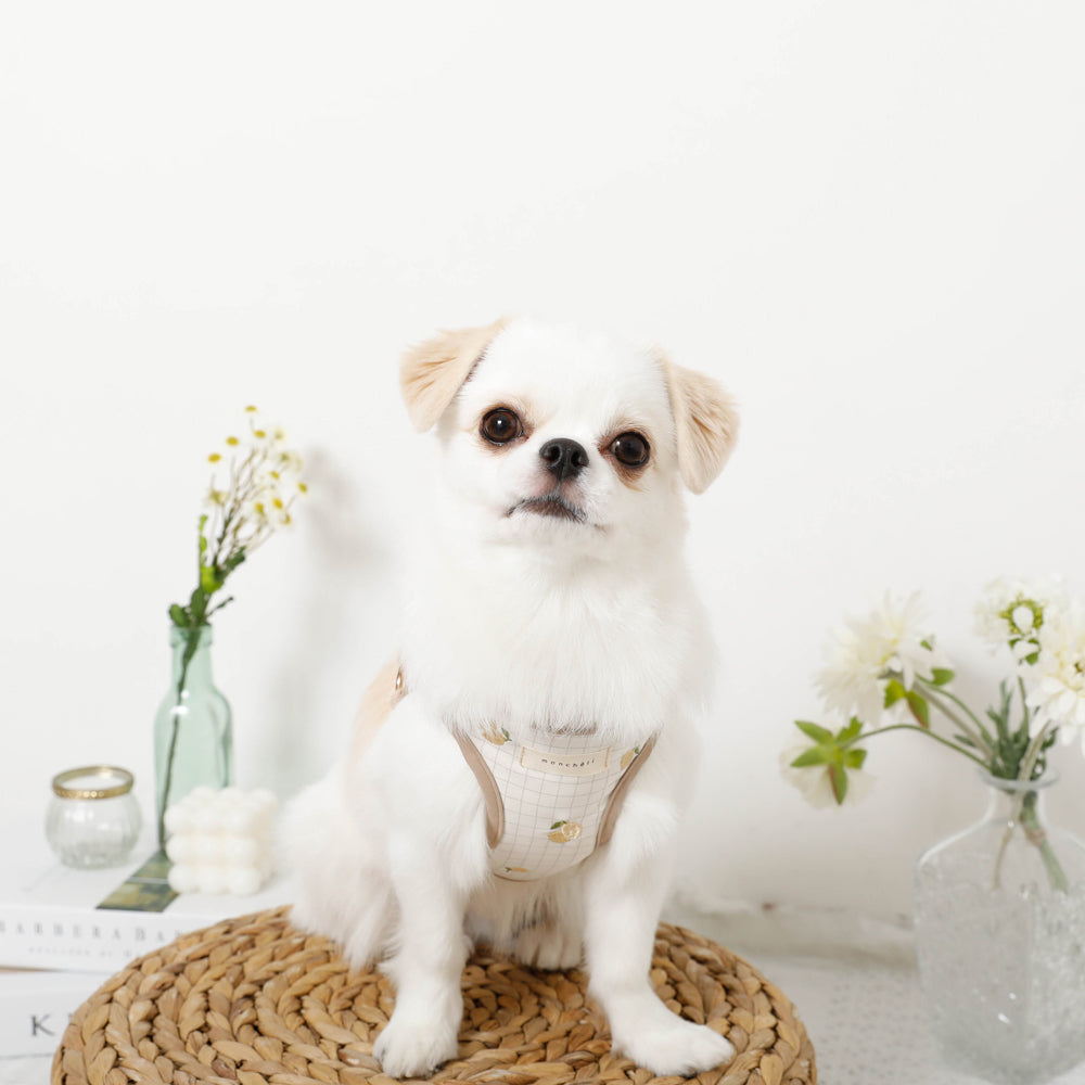 Lemon pattern embroidery harness + lead set [Name embroidery available]