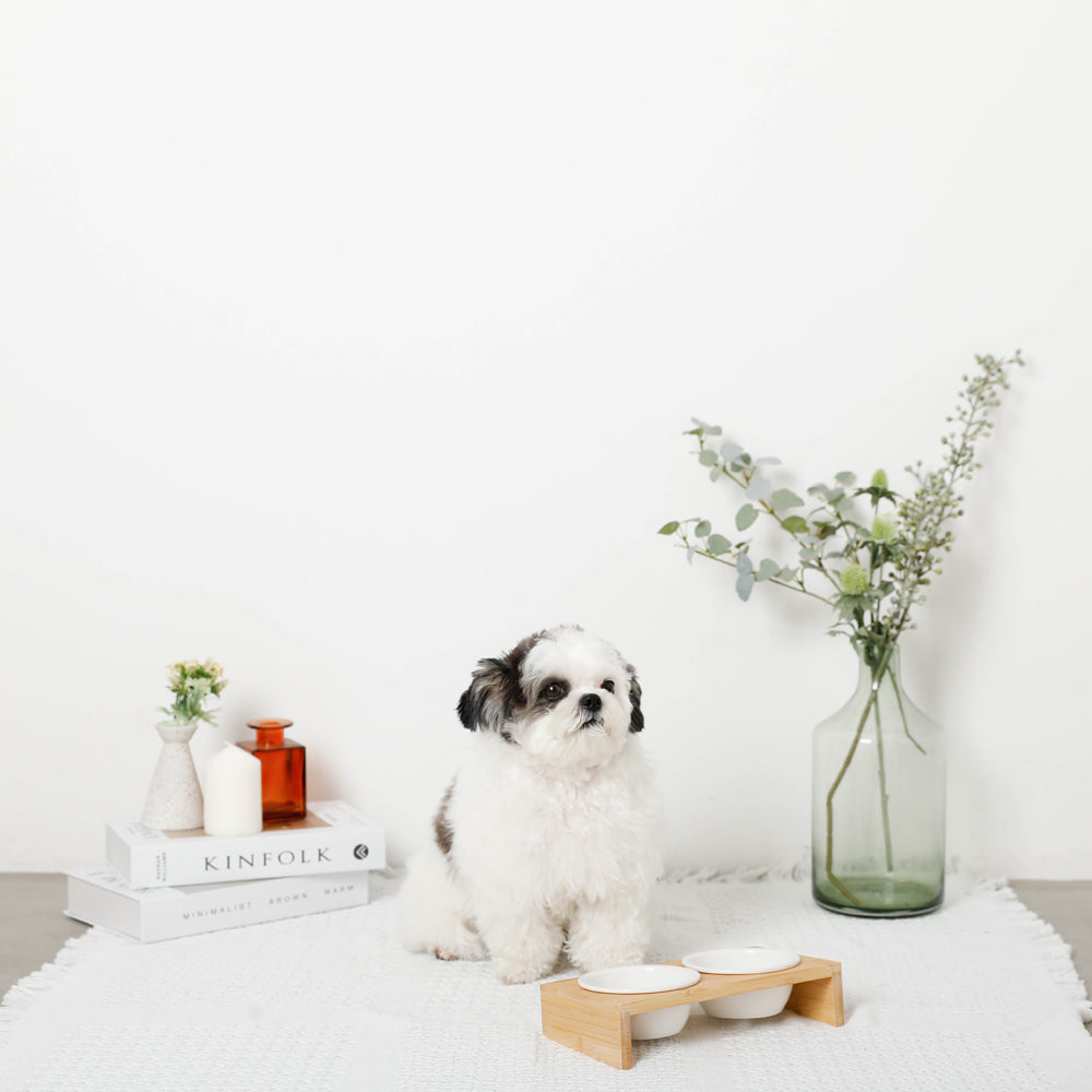 wood stand mini food bowl