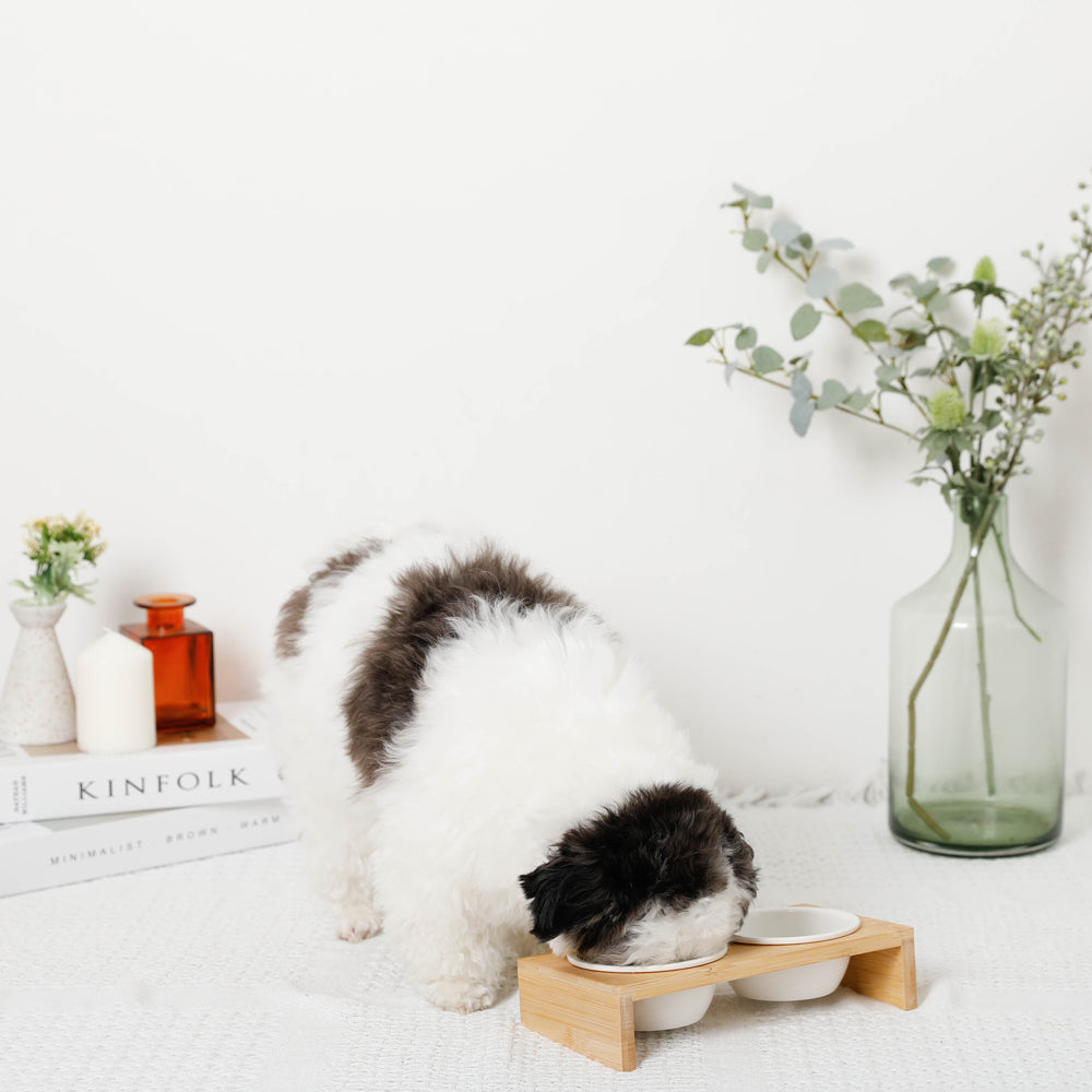 wood stand mini food bowl