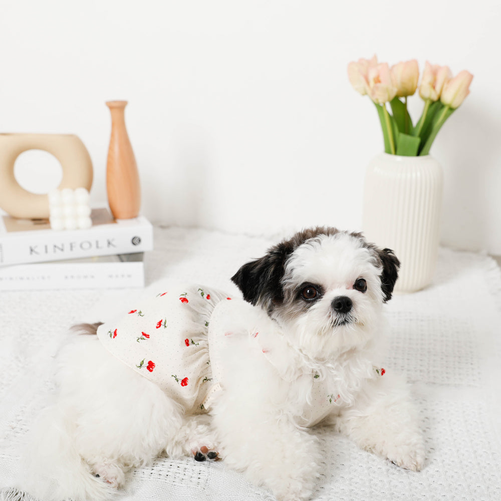 Cool cherry dot frill dress