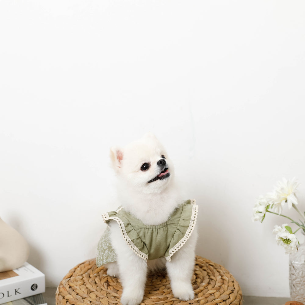 冷感リネンコットン刺繍フリルワンピース