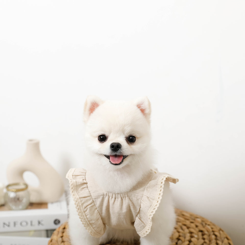 冷感リネンコットン刺繍フリルワンピース