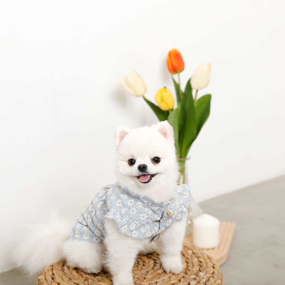 冷感フラワー刺繍ショルダーフリルブラウス