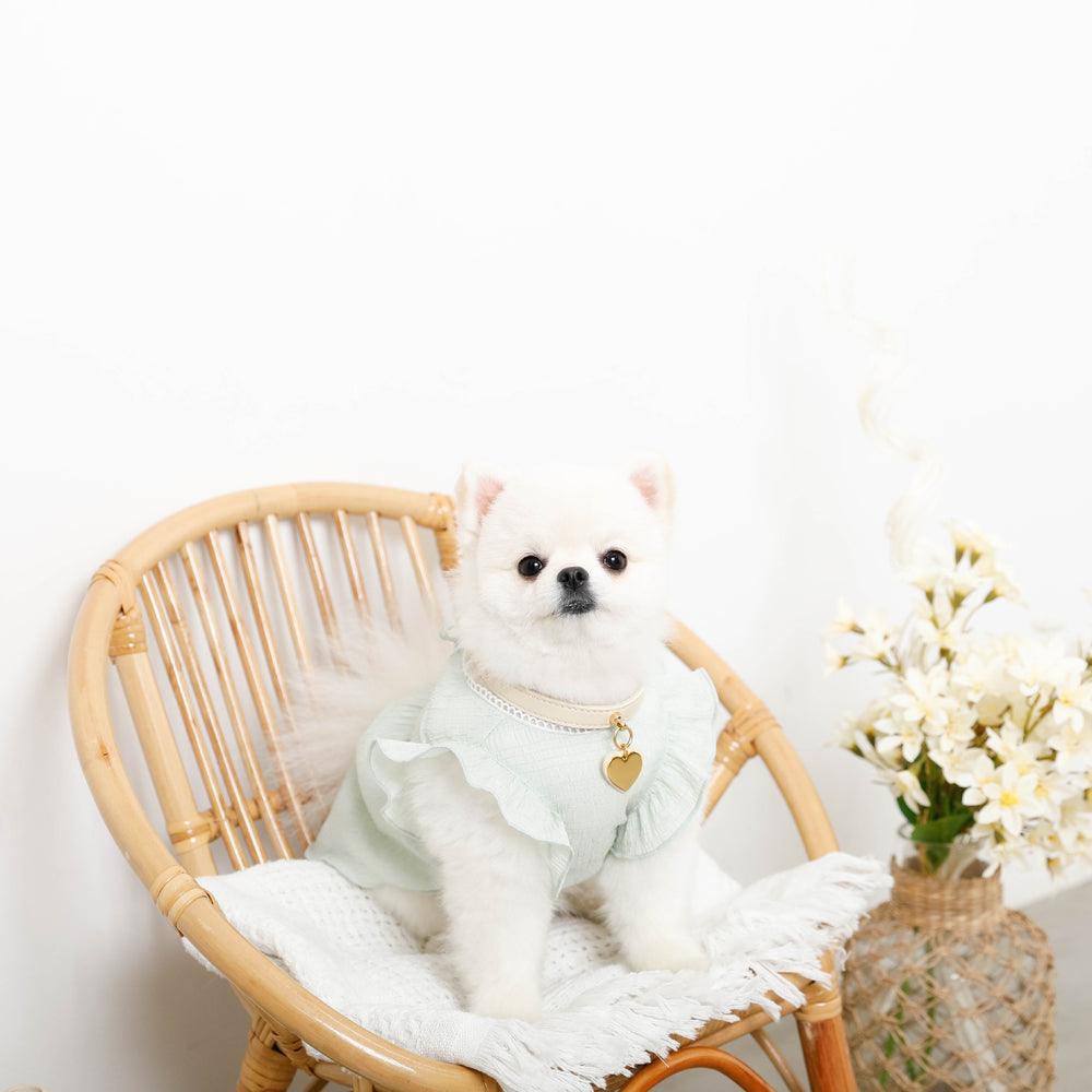 Cool back ribbon frill dress