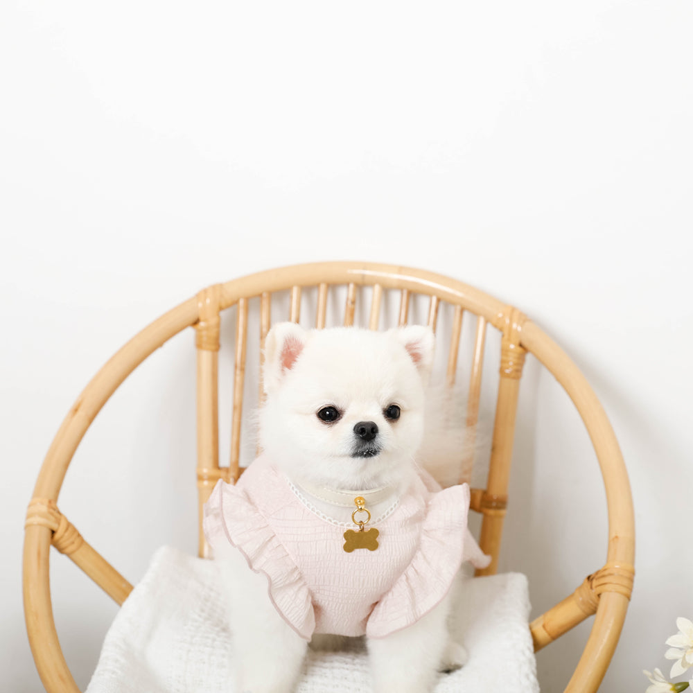 Cool back ribbon frill dress