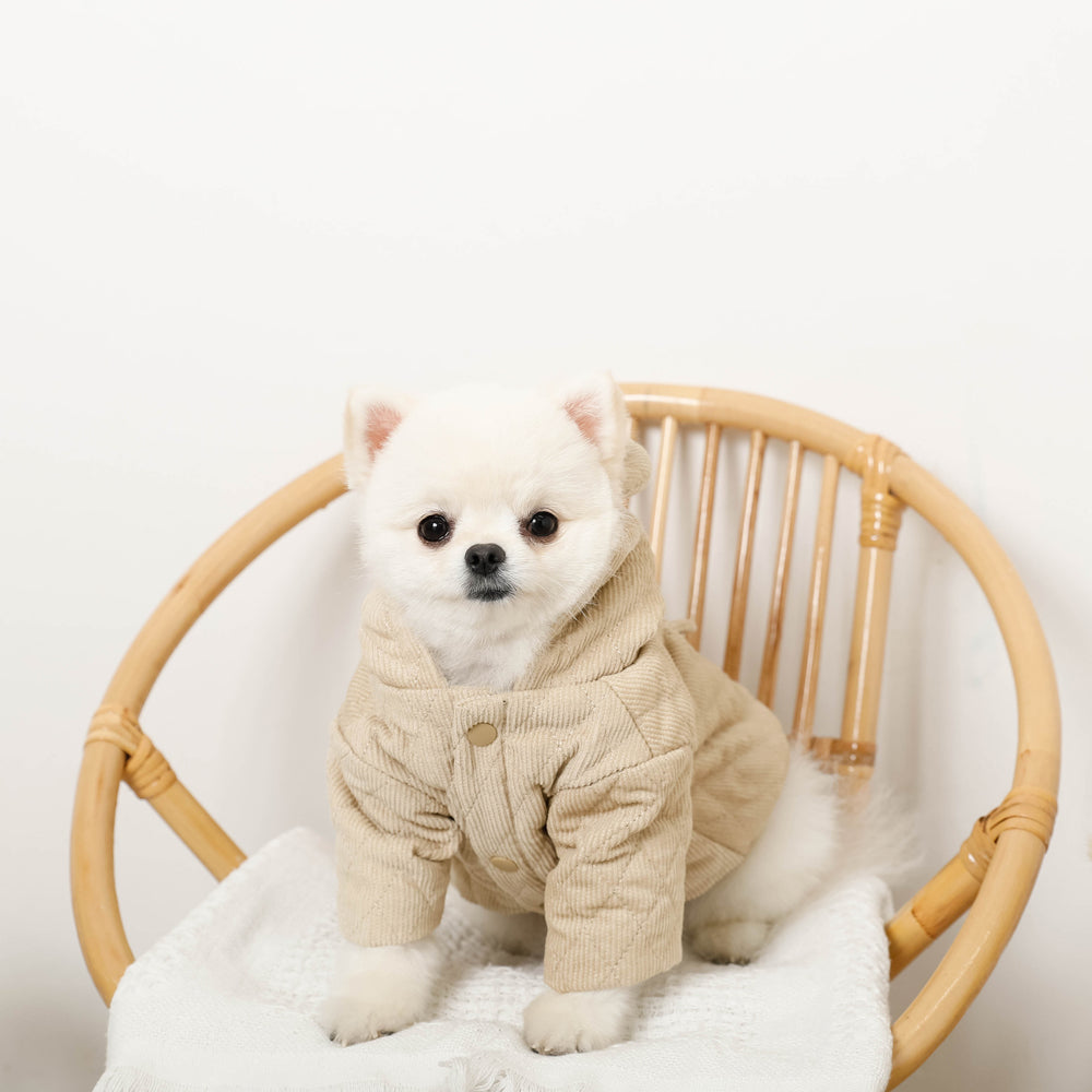 Bear Corduroy Quilted Hoodie Jacket