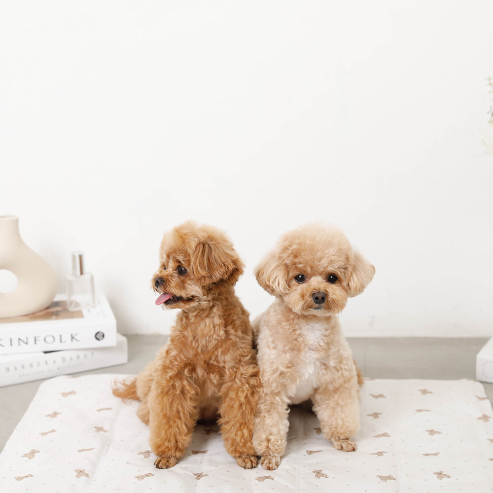 くまさんクールひんやりジェルマット Lサイズ