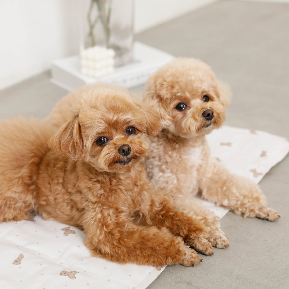 くまさんクールひんやりジェルマット Lサイズ