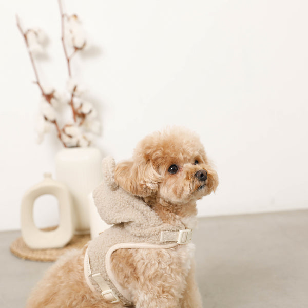 モンシェリ moncheri 冷感フラワー刺繍ハーネス+リードSET - 犬用品