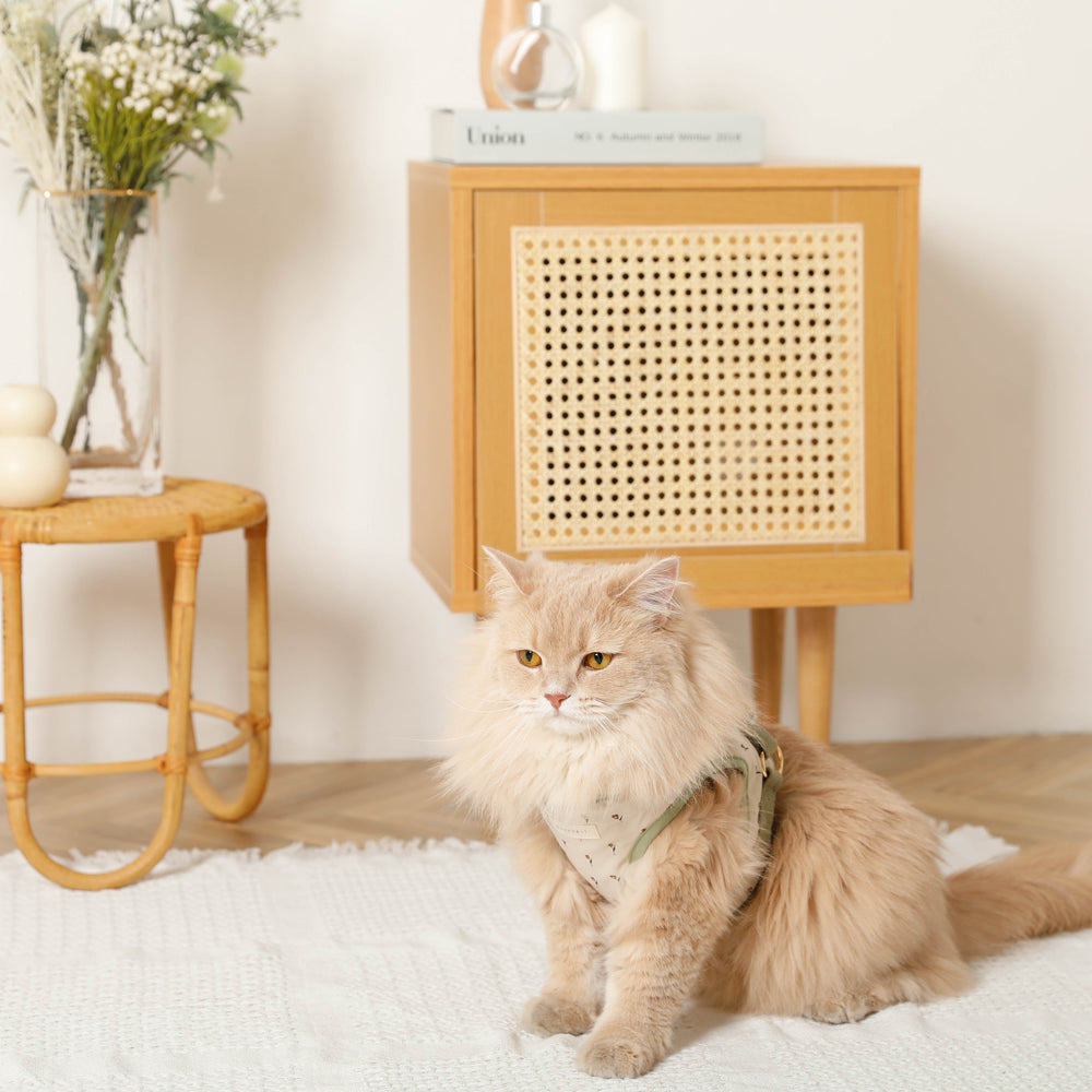 チューリップ柄ハーネス+リードSET【名入れ刺繍対応】