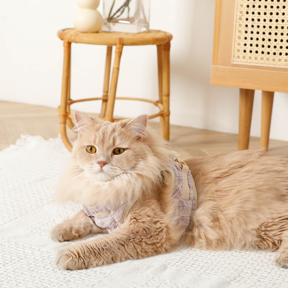 ぽこぽこハーネス+リードSET【名入れ刺繍対応】